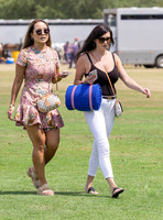 Treading in at polo match