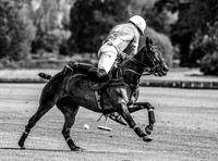 The Arthur Lucas Cup VL semi-final 2,  Beaufort Polo Club - 28th May, 2026