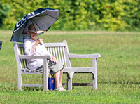 League Match for the St Regis Cowdray Gold Cup 2026