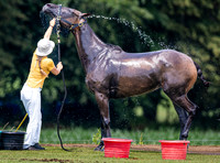 League Match for the St Regis Cowdray Gold Cup 2026
