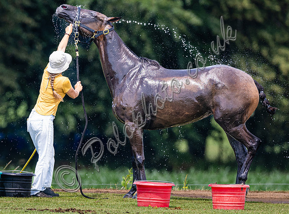 League Match for the St Regis Cowdray Gold Cup 2026