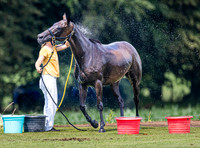 League Match for the St Regis Cowdray Gold Cup 2026