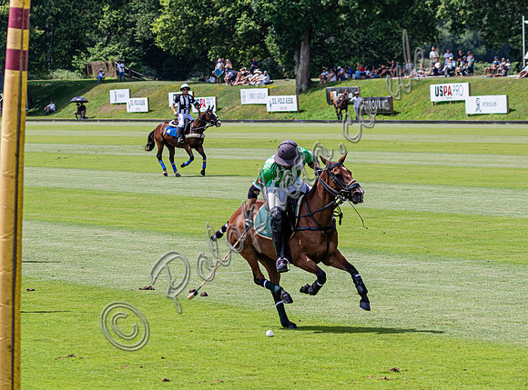 League Match for the St Regis Cowdray Gold Cup 2026