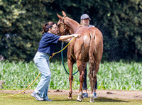 League Match for the St Regis Cowdray Gold Cup 2026