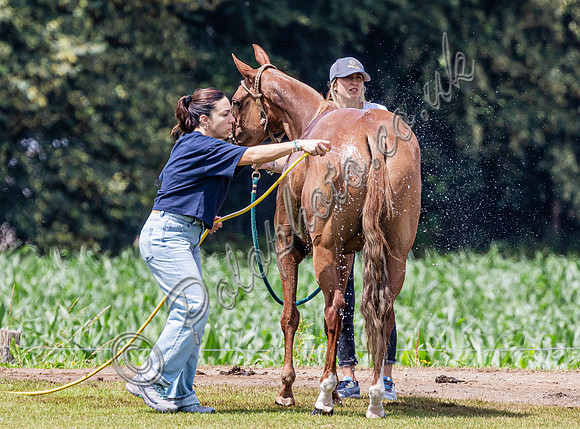 League Match for the St Regis Cowdray Gold Cup 2026
