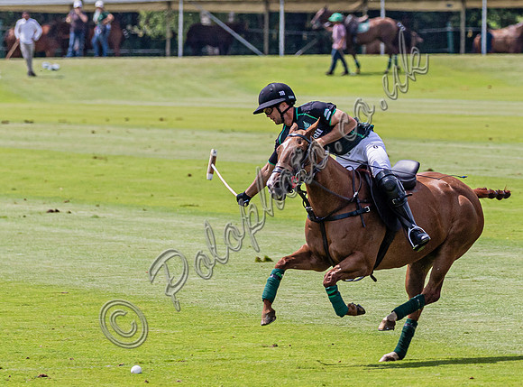 League Match for the St Regis Cowdray Gold Cup 2026