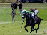League Match for the St Regis Cowdray Gold Cup 2026
