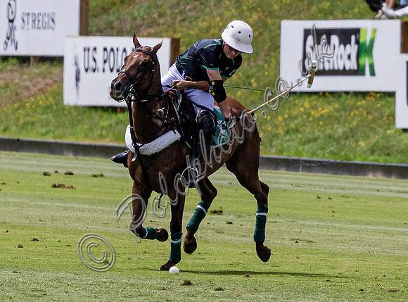 League Match for the St Regis Cowdray Gold Cup 2026