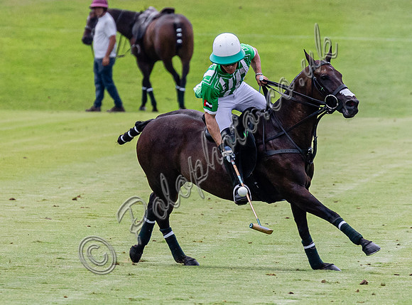 League Match for the St Regis Cowdray Gold Cup 2026