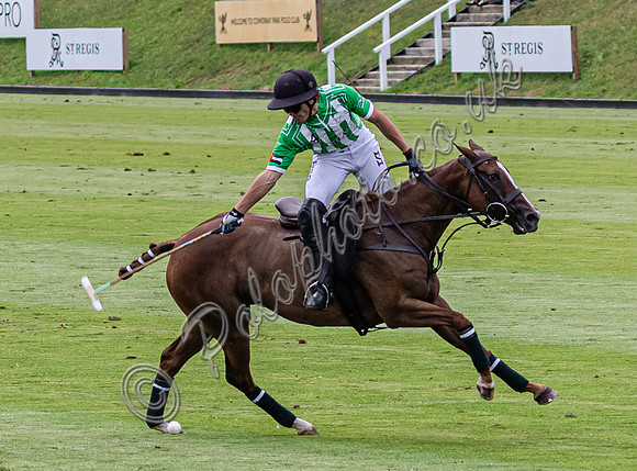 League Match for the St Regis Cowdray Gold Cup 2026