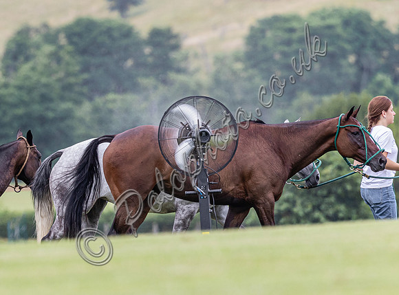 League Match for the St Regis Cowdray Gold Cup 2026