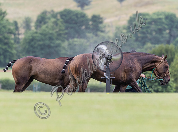 League Match for the St Regis Cowdray Gold Cup 2026