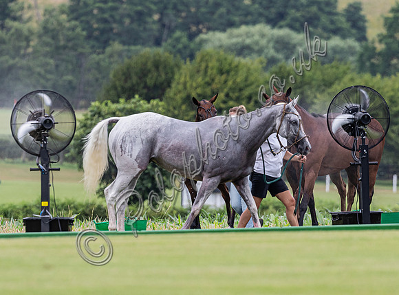 League Match for the St Regis Cowdray Gold Cup 2026