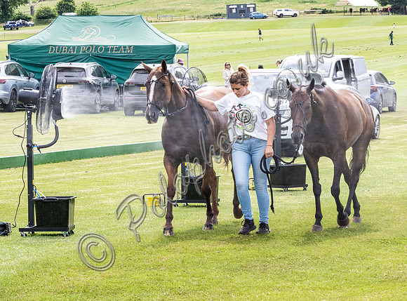 League Match for the St Regis Cowdray Gold Cup 2026
