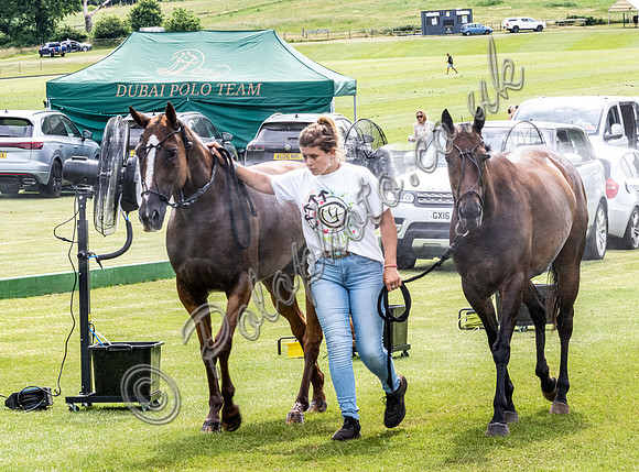 League Match for the St Regis Cowdray Gold Cup 2026