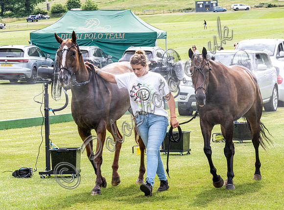 League Match for the St Regis Cowdray Gold Cup 2026