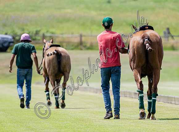 League Match for the St Regis Cowdray Gold Cup 2026