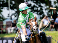 Cowdray Park Gold Cup - Cowdray Park Polo Club, 27th June, 2026