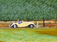 Summer Drive
