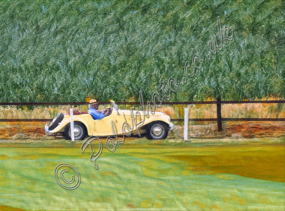 Summer Drive