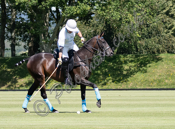League Match for the St Regis Cowdray Gold Cup 2026