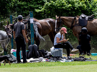 League Match for the St Regis Cowdray Gold Cup 2026
