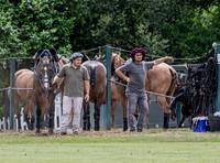 League Match for the St Regis Cowdray Gold Cup 2026