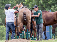 League Match for the St Regis Cowdray Gold Cup 2026