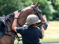 League Match for the St Regis Cowdray Gold Cup 2026