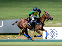 League Match for the St Regis Cowdray Gold Cup 2026