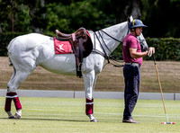 League Match for the St Regis Cowdray Gold Cup 2026