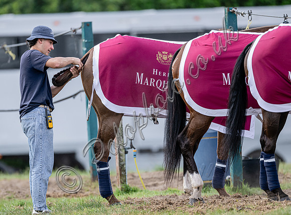 League Match for the St Regis Cowdray Gold Cup 2026