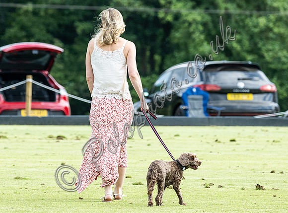 League Match for the St Regis Cowdray Gold Cup 2026
