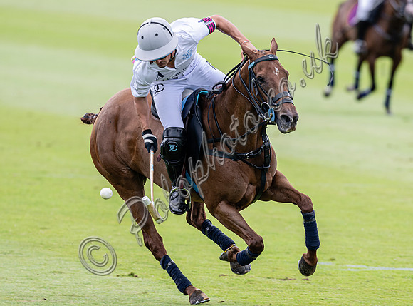 League Match for the St Regis Cowdray Gold Cup 2026