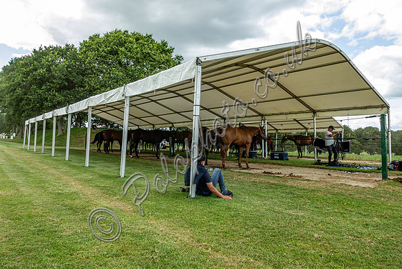 League Match for the St Regis Cowdray Gold Cup 2026