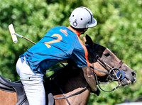 League Match for the St Regis Cowdray Gold Cup 2026