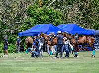 League Match for the St Regis Cowdray Gold Cup 2026