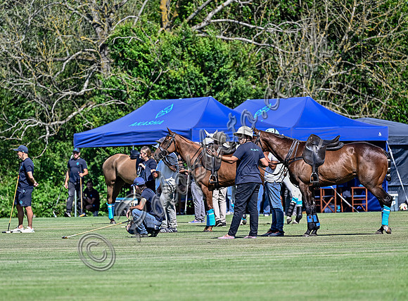 League Match for the St Regis Cowdray Gold Cup 2026