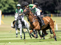 League Match for the St Regis Cowdray Gold Cup 2026