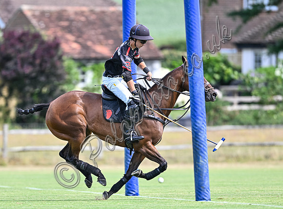 League Match for the St Regis Cowdray Gold Cup 2026