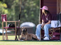 League Match for the St Regis Cowdray Gold Cup 2026