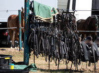 Cowdray Park Gold Cup, Quarter Final Match - Cowdray Park Polo Club, 11th July, 2026