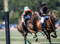 Cowdray Park Gold Cup, Quarter Final Match - Cowdray Park Polo Club, 12th July, 2026