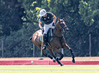 Polo action, 2026 Holden White Cup, Cowdray Park Polo Club