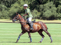 Polo action, Jack Williams Cup Final 2026 , Cirencester Park