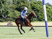 Polo action, Jack Williams Cup Final 2026 , Cirencester Park