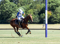Polo action, Jack Williams Cup Final 2026 , Cirencester Park