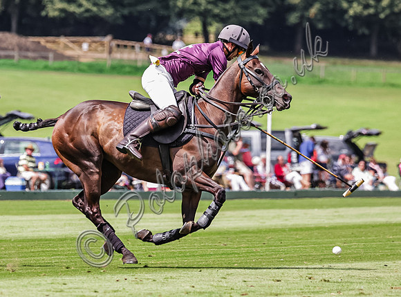 Polo action, The Ruins Cup (Holden White) 2024, Cowdray Park Polo Club