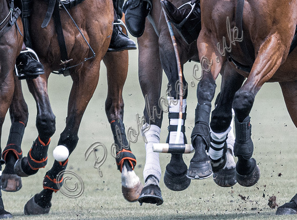 2024 Polo Action - Cicero Cup, Cowdray Park