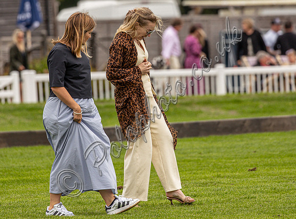 Treading the divots at a polo match